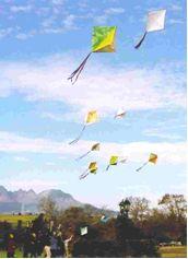 Kites flying high in the sky